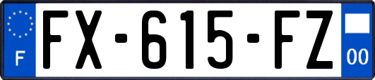 FX-615-FZ