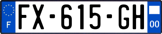 FX-615-GH
