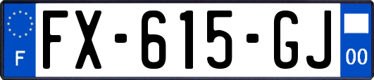 FX-615-GJ