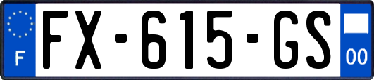 FX-615-GS