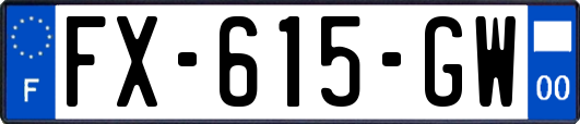 FX-615-GW