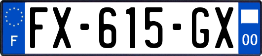 FX-615-GX