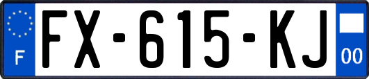 FX-615-KJ