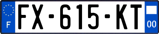 FX-615-KT