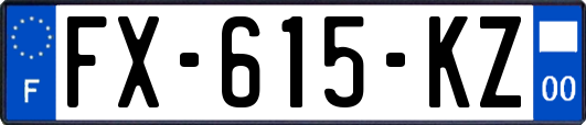 FX-615-KZ