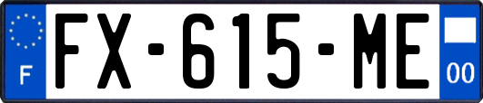 FX-615-ME