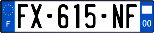 FX-615-NF