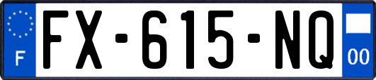 FX-615-NQ