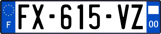 FX-615-VZ