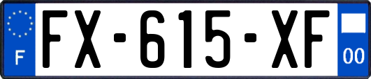 FX-615-XF