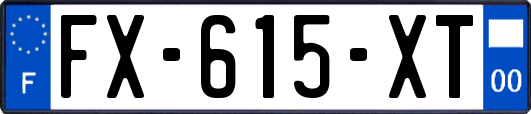 FX-615-XT