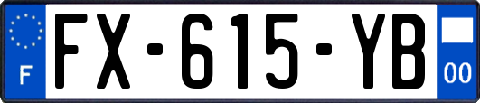 FX-615-YB