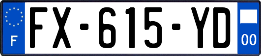 FX-615-YD