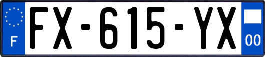 FX-615-YX