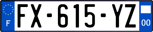 FX-615-YZ