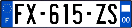 FX-615-ZS