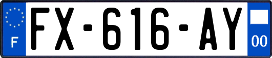 FX-616-AY