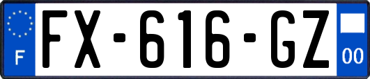 FX-616-GZ