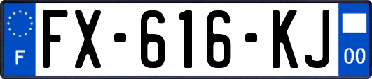FX-616-KJ