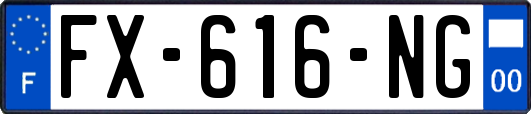 FX-616-NG