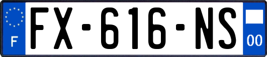 FX-616-NS