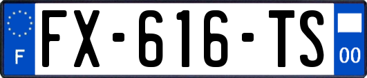 FX-616-TS