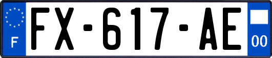 FX-617-AE