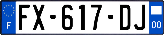 FX-617-DJ
