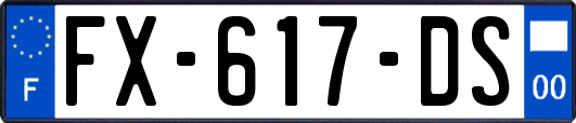 FX-617-DS