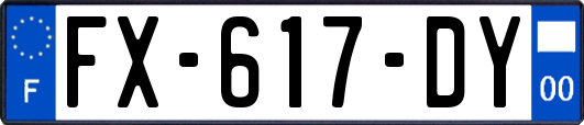 FX-617-DY