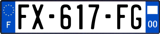 FX-617-FG