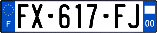 FX-617-FJ