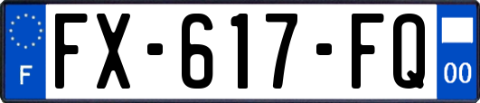 FX-617-FQ