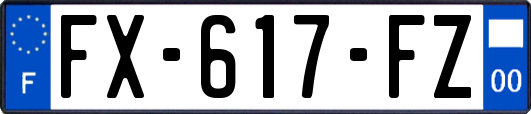 FX-617-FZ