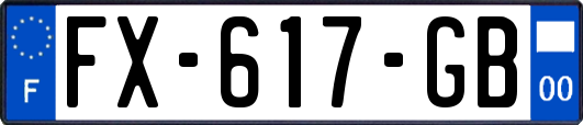 FX-617-GB