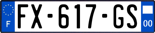 FX-617-GS