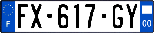 FX-617-GY