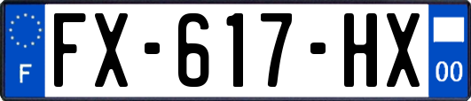 FX-617-HX