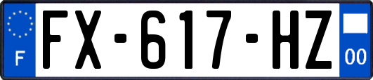 FX-617-HZ