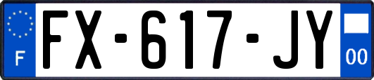 FX-617-JY