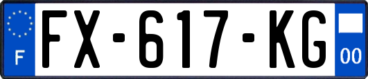FX-617-KG