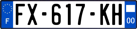 FX-617-KH