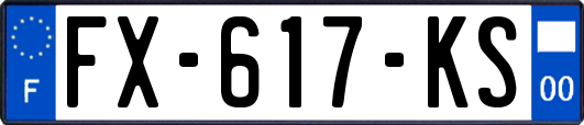 FX-617-KS