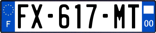 FX-617-MT