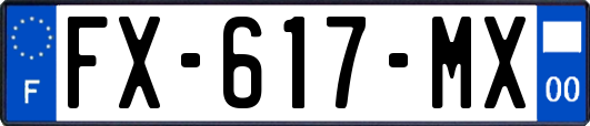 FX-617-MX