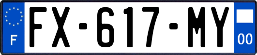 FX-617-MY