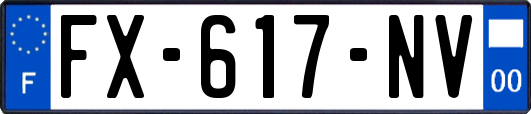 FX-617-NV