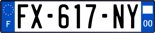 FX-617-NY