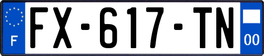 FX-617-TN