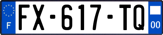 FX-617-TQ